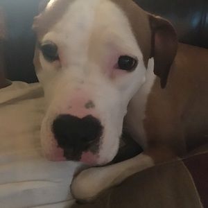 Meet your Posher, Kristy